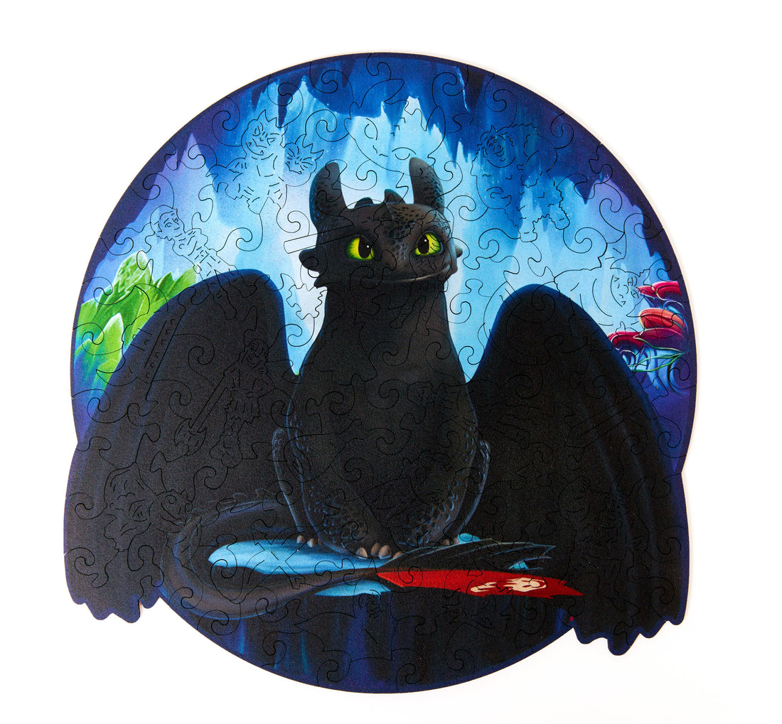 Toothless - the personification of the strength, friendship, and the power of embracing one's uniqueness.