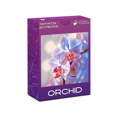 Orchid flower