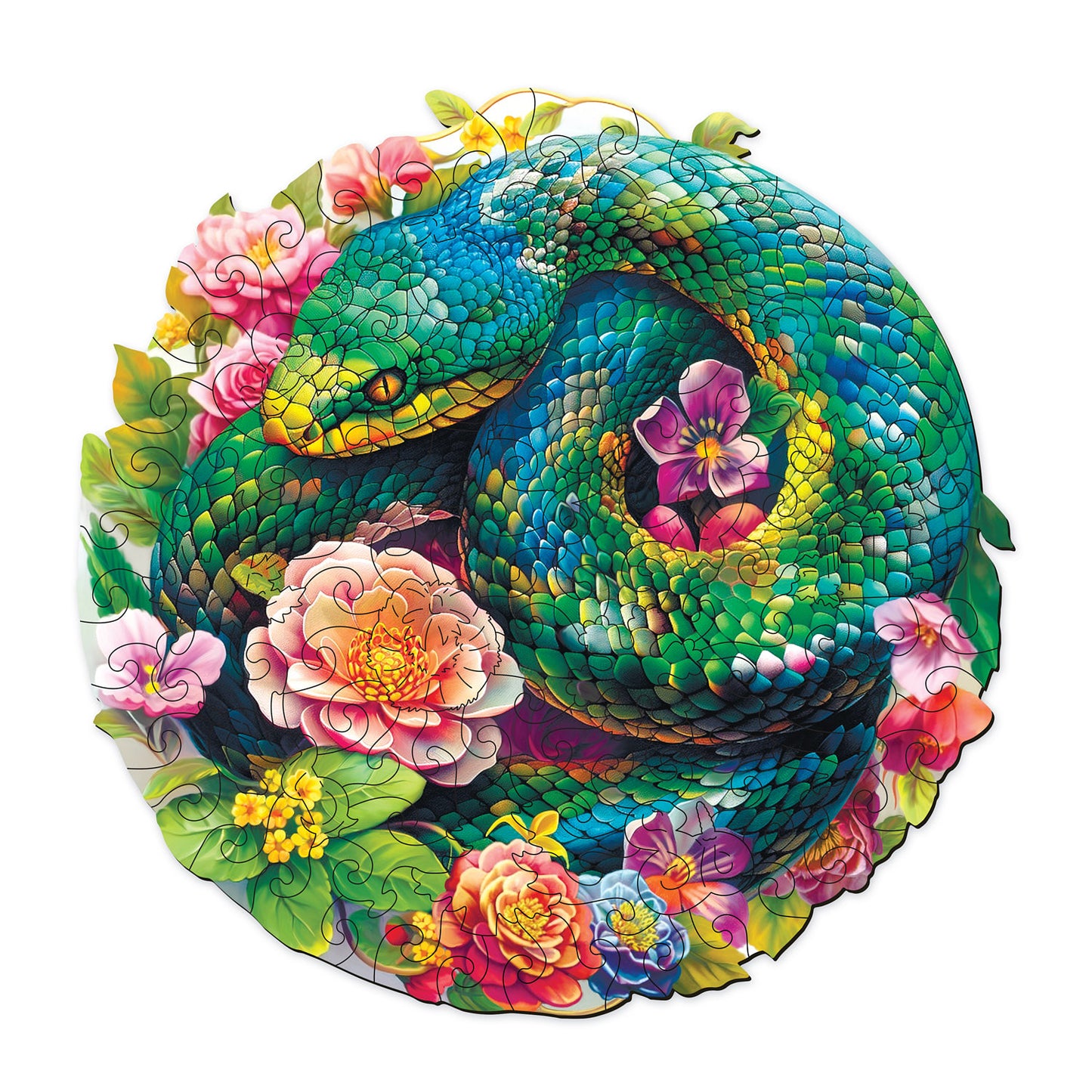 Floral Snake