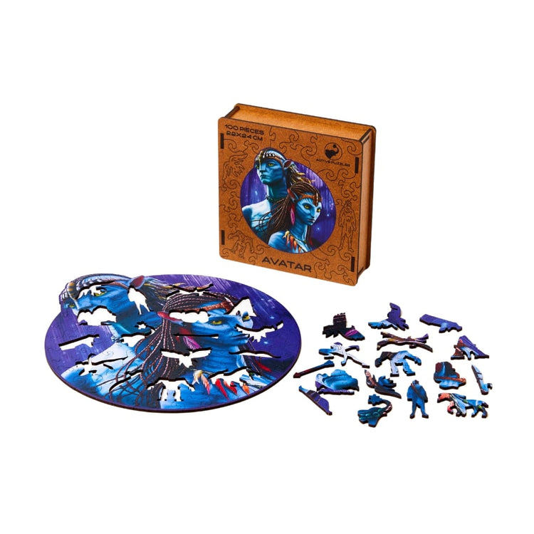 avatar wooden puzzle box and pieces