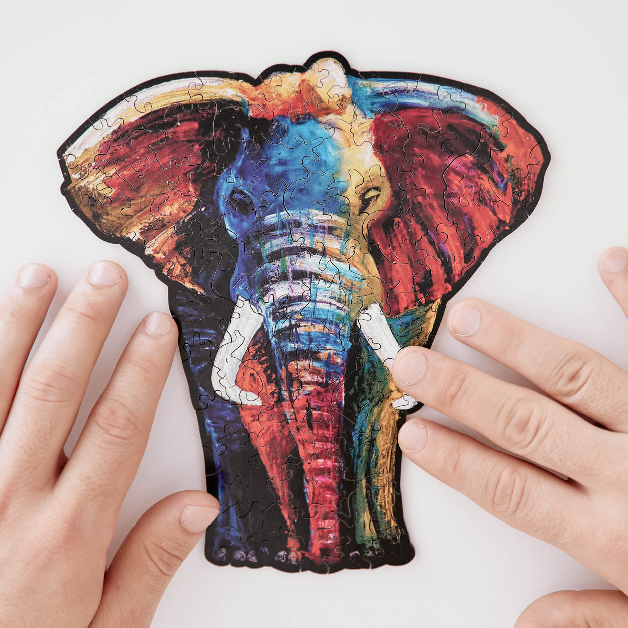 Elefante Multicolor